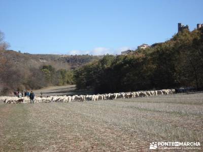 Parque Natural del Barranco Río Dulce;la rioja senderismo rutas senderismo leon